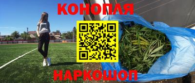 Альфа ПВП Можайск