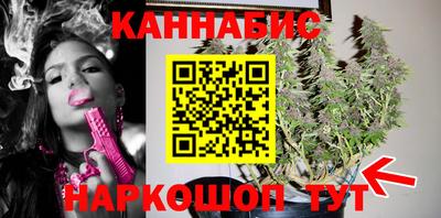 a pvp Можга