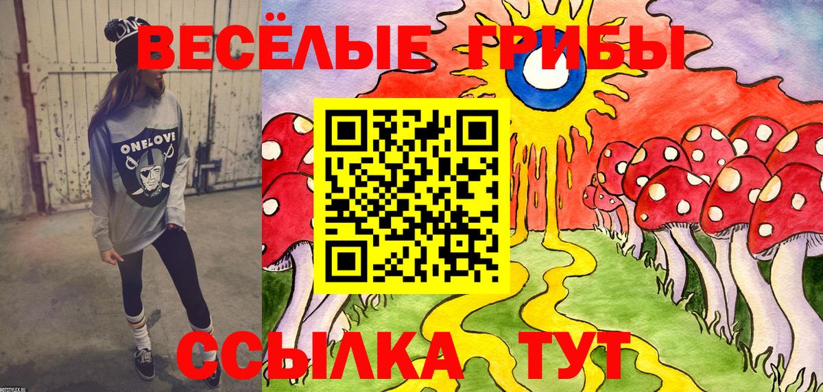 купить наркотик  Вход с VPN  Брянск  Галлюциногенные грибы прущие грибы  Псилоцибиновые грибы Magic Shrooms 