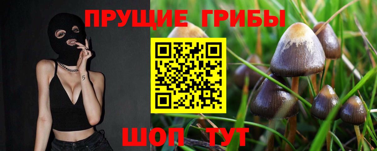 Галлюциногенные грибы мухоморы Брянск